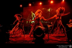2024.11.21 - Percival - Wild Hunt Live