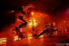 2024.11.21 - Percival - Wild Hunt Live