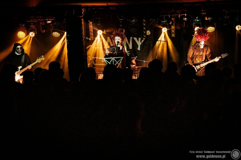 2026-03-06-Czarny-Bez